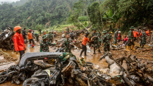 Glissement de terrain en Indon&eacute;sie: le bilan monte &agrave; 21 morts, cinq disparus