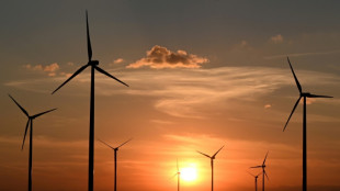 Studie: Europas l&auml;ndliche Regionen k&ouml;nnten besonders von Energiewende profitieren