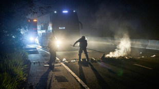 Empresa de bananas dos EUA demitir&aacute; restante de seu pessoal em meio a protestos no Panam&aacute;