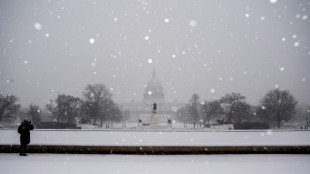 Tormenta invernal azota el este de EEUU y Canad&aacute; y trastorna los viajes