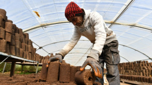 Tunisian startup turns olive waste into clean energy