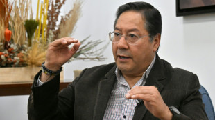 Bol&iacute;via pode entrar em default sem novo financiamento, diz presidente Arce &agrave; AFP