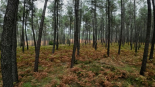 Restauration de la nature: un texte de l'UE pour pr&eacute;server les &eacute;cosyst&egrave;mes