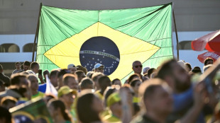 Partidarios de Bolsonaro marchan en Brasilia para exigir una amnist&iacute;a a su l&iacute;der