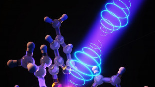 Dall'inclusivit&agrave; alla chiralit&agrave;, con il Cnr alla Maker Faire