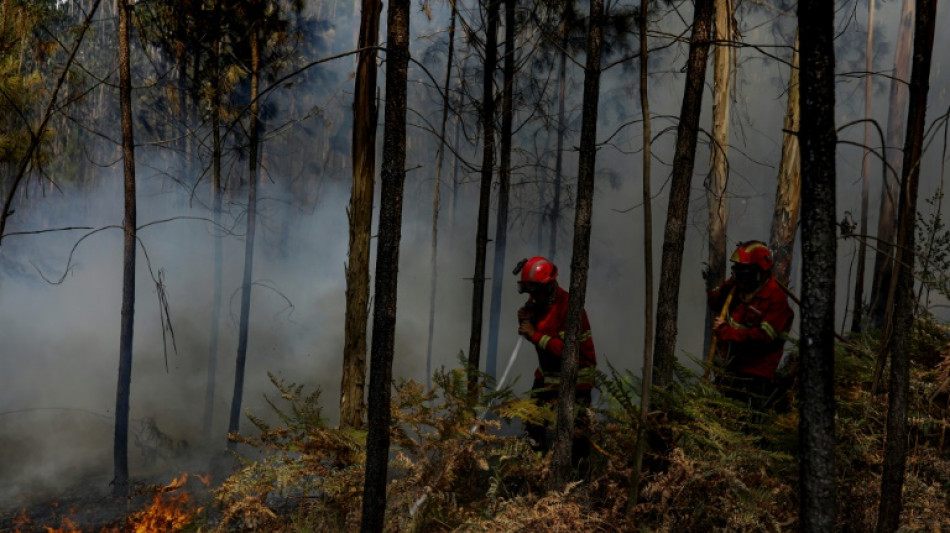 Le sud de l'Europe en proie aux incendies, pic de chaleur dans la péninsule ibérique