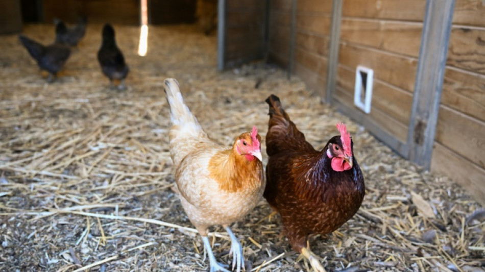 Verwaltungsaufwand: EU-Kommission schl&auml;gt weitere Zugest&auml;ndnisse an Bauern vor