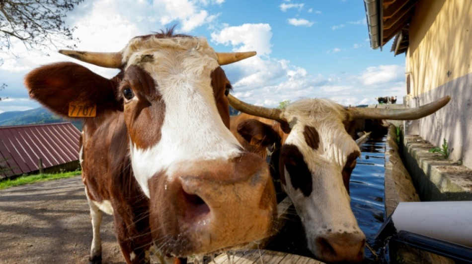 Agriculture : la r&eacute;ponse du gouvernement soumise au vote des d&eacute;put&eacute;s