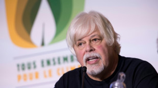 Chasse &agrave; la baleine: Paul Watson, recherch&eacute; par le Japon, arr&ecirc;t&eacute; au Groenland