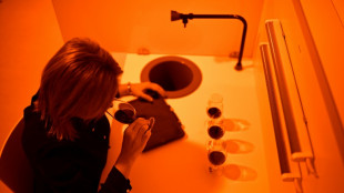 Dans le Bordelais, les grands ch&acirc;teaux &agrave; la recherche du vin du futur