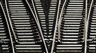 Vorplanung f&uuml;r Bau neuer Schnellbahnstrecke Dresden-Prag abgeschlossen
