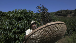 Vítima do tarifaço de Trump, café brasileiro quer minimizar prejuízo