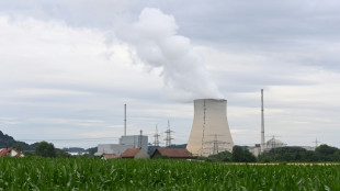 FDP-Fraktion will Atomkraftwerke bis 2024 betriebsbereit halten