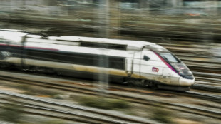 Trafic interrompu sur la ligne LGV Sud-Est: 80.000 voyageurs touch&eacute;s