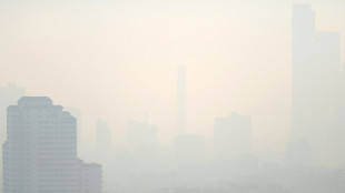 Thailand chokes on pollution but greens struggle to be heard in election