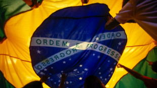 Brazil Central Bank holds interest rate after seven straight hikes 