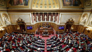 Le S&eacute;nat termine son marathon budg&eacute;taire, avec un texte remani&eacute;