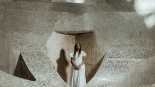 La Bienal de Venecia 2026 ser&aacute; dirigida por primera vez por una mujer africana