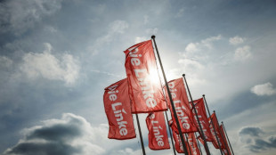 Linke fordert Kopplung von unterstem Lohn an Spitzengehalt eines Konzerns