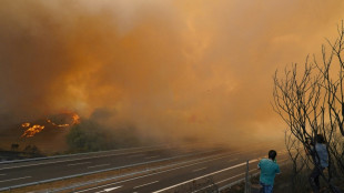 Espa&ntilde;a consumida por incendios forestales en el noroeste y el oeste