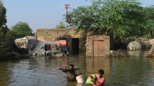 Movilizaci&oacute;n general en Pakist&aacute;n para ayudar a afectados por las inundaciones