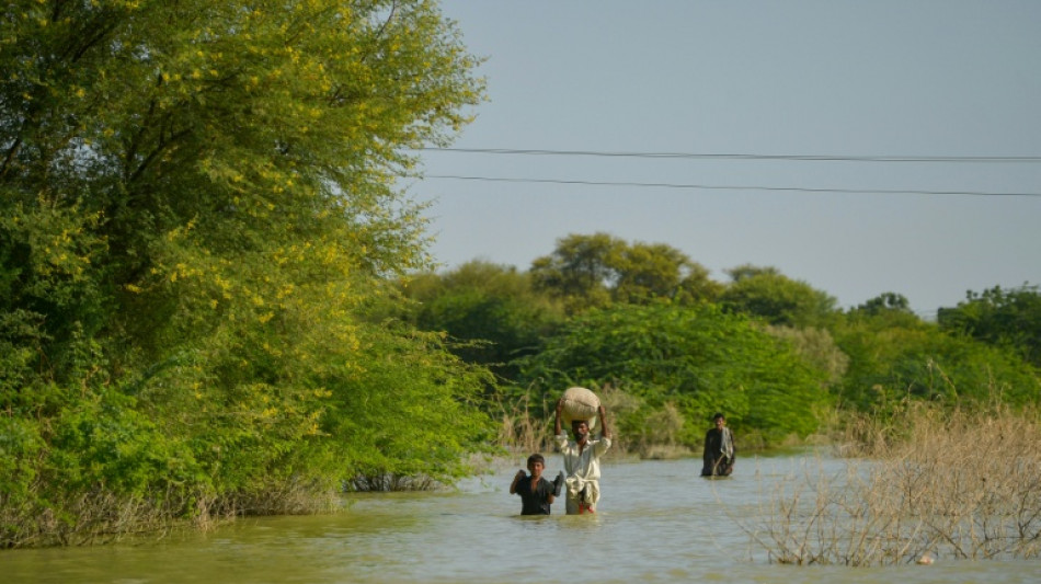 Bauern aus Pakistan reichen Klimaklage ein - RWE weist Forderung zur&uuml;ck