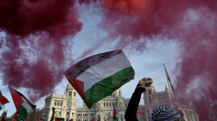 Espagne: 20.000 manifestants contre le "g&eacute;nocide" &agrave; Gaza 