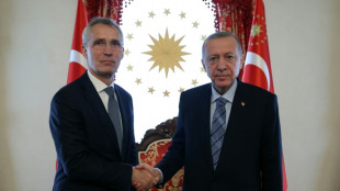 Le chef de l'Otan appelle de nouveau Erdogan &agrave; lever son veto contre la Su&egrave;de