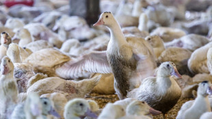 In Washington's political cauldron, a fight over foie gras