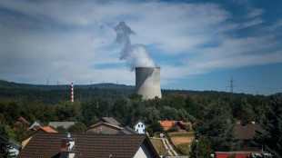 Le gouvernement suisse veut rouvrir la porte au nucl&eacute;aire