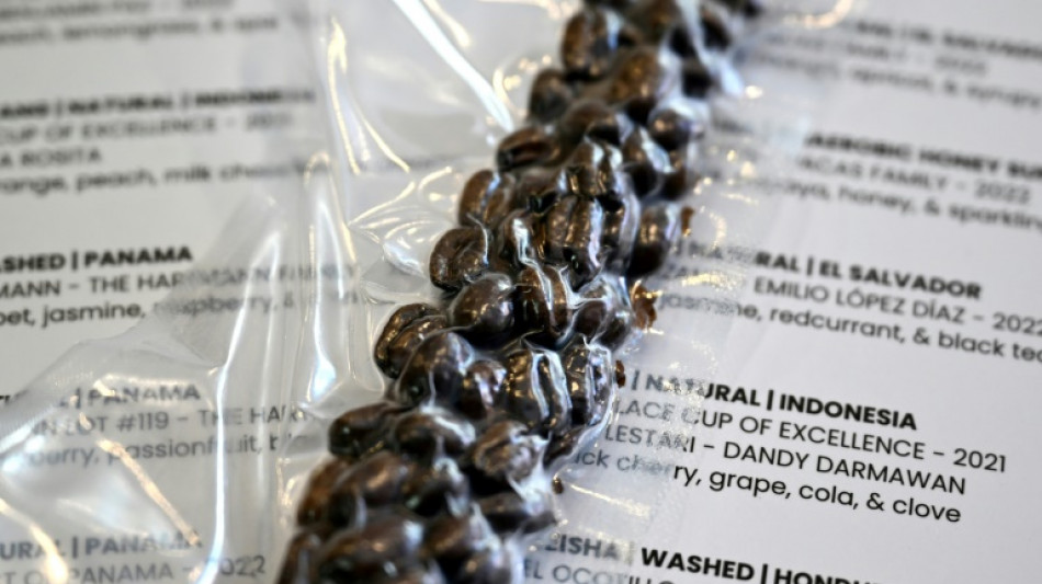 Australisches Café bietet Kaffee für 130 Euro - pro Tasse