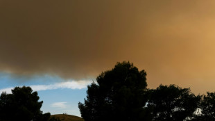 Madrid, envuelto en una gigantesca nube de humo procedente de un incendio forestal cercano