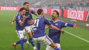 K&ouml;nigsblau im Rausch: Schalke zur&uuml;ck in der Bundesliga
