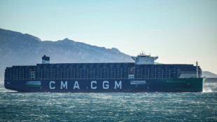 Les g&eacute;ants du transport maritime &eacute;vitent la mer Rouge apr&egrave;s des attaques r&eacute;p&eacute;t&eacute;es