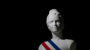 Un projet de Marianne con&ccedil;ue par intelligence artificielle