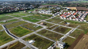 Ifo: Gesch&auml;ftsklima im Wohnungsbau auf Allzeittief seit 1991 