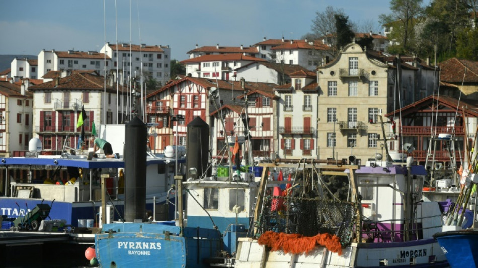 Golfe de Gascogne: les p&ecirc;cheurs &agrave; l'arr&ecirc;t forc&eacute; pour prot&eacute;ger les dauphins