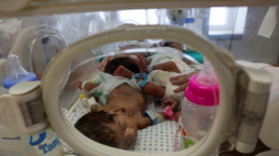 Gaza: des b&eacute;b&eacute;s de l'h&ocirc;pital al-Chifa &eacute;vacu&eacute;s, Isra&euml;l poursuit ses op&eacute;rations