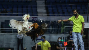 Philippines asks Japan's help searching lake for missing cockfighters