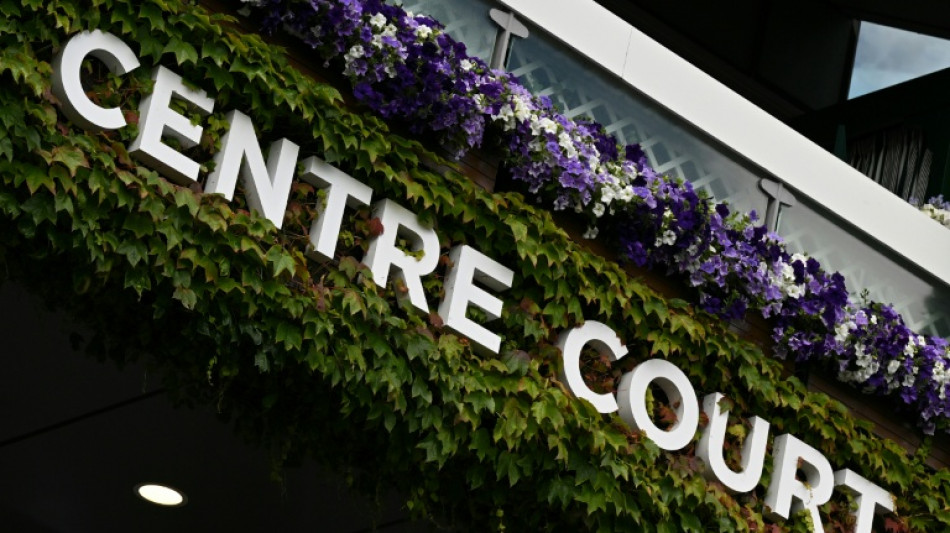Wimbledon prize pot increases as players push for greater profit share