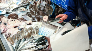 Que signifie vraiment le label MSC sur les étiquettes de poisson?