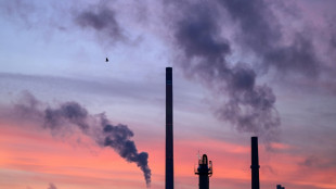 Habeck startet Versteigerung von Klimaschutzvertr&auml;gen 