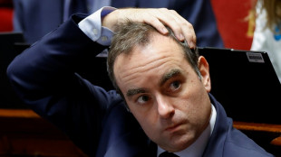 Budget de l'Etat: Lecornu mise sur un consensus des députés sur les enjeux de défense 