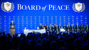 Media, 'Board of peace prevede base per 5.000 militari a Gaza'