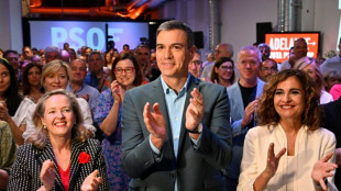 La campa&ntilde;a electoral arranca en Espa&ntilde;a con un torrente de promesas