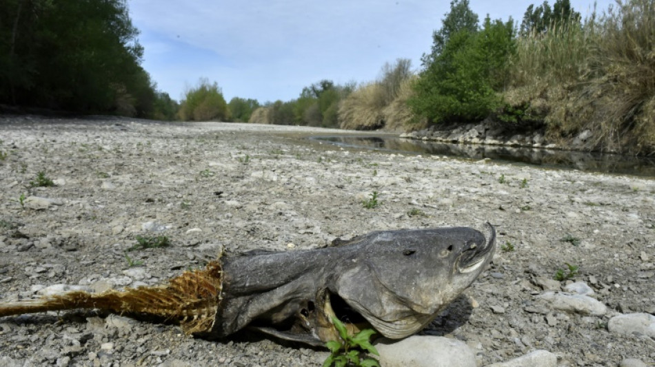 S&eacute;cheresse en Pyr&eacute;n&eacute;es-Orientales: sanctions si non respect des restrictions 
