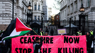 Nouvelle manifestation d'ampleur en soutien aux Palestiniens &agrave; Londres