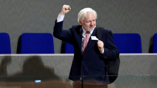 El procesamiento de Assange estuvo "motivado pol&iacute;ticamente", dice el Consejo de Europa