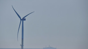 Strom für Deutschland und Dänemark: Gemeinsames Energieprojekt kommt voran