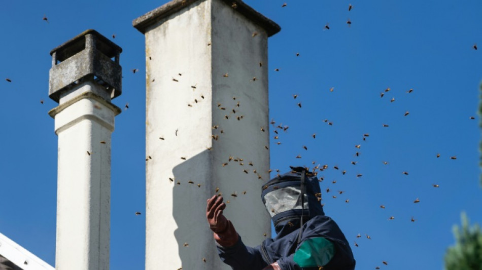 50-J&auml;hriger in NRW bek&auml;mpft Wespennest mit Gasbrenner und setzt Dachstuhl in Brand